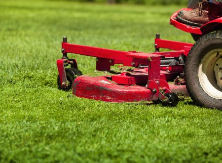 Grass Cut Order Processing