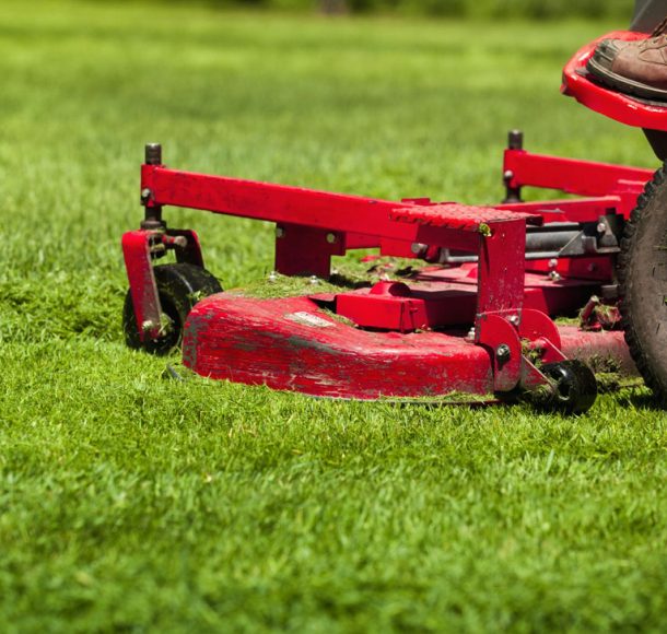 Grass Cut Order Processing